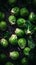 Fresh Organic Brussels Sprouts Vegetable Vertical Background.