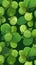 Fresh Organic Brussels Sprouts Vegetable Vertical Background Illustration.