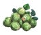 Fresh organic Brussels sprouts vegetables