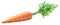 Fresh organic carrot on white background. Clipping path