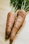 Fresh organic carrots leaves on wooden background