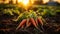 Fresh organic carrots, nature healthy harvest, grown in dirt generated by AI