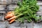 Fresh organic carrots with tops and roots for genuine gardening
