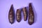 Fresh Organic Cassava Root, Manioc Esculenta, yuca On purple Background