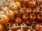 Fresh Organic Cherry Tomatoes on Branch, Group of fresh Cherry Tomatoes