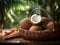 Fresh Organic Coconut Fruit Horizontal Illustration.