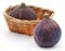 Fresh organic common figs