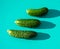 Fresh organic cucumbers on a modern turquoise background