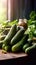 fresh organic cucumbers for salad healthy food