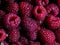 fresh organic delicious raspberries; macro, closeup; textured food