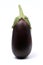 Fresh organic eggplant (aubergine)