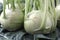 Fresh, organic, farm produce of kohlrabi