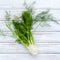 Fresh organic fennel bulbs for culinary purposes on wooden background.