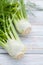 Fresh organic fennel bulbs for culinary purposes on wooden background.