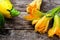 Fresh, organic flowers of zucchini