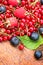 Fresh organic forest berry fruit - healthy eating, healthy vegetarian food