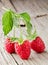 Fresh organic fruit - raspberry