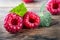 Fresh organic fruit raspberry on wood background