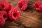 Fresh organic fruit raspberry on wood background