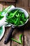 Fresh, organic green beans in a vintage colander