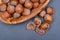 Fresh organic high quality hazelnuts, filberts in wooden bowl on natural stone
