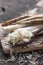Fresh organic horseradish or Horse-radish root on wooden cutting board