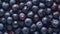 Fresh Organic Huckleberry Berry Horizontal Background.
