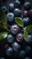 Fresh Organic Huckleberry Berry Vertical Background.