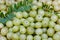 Fresh Organic Indian Gooseberry or Emblic botanical name is Phyllanthus Emblica is theTropical Fruit.