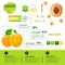 Fresh Organic Infographics Natural Fruits Growth, Agriculture And Farming