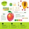 Fresh Organic Infographics Natural Fruits Growth, Agriculture And Farming