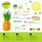 Fresh Organic Infographics Natural Fruits Growth, Agriculture And Farming