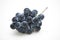 Fresh organic Japanese grapes with white background