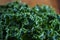 Fresh organic kale