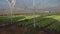 Fresh organic lettuce seedlings in greenhouse outdoors