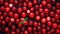Fresh Organic Lingonberry Berry Horizontal Background.