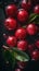 Fresh Organic Lingonberry Berry Vertical Background.