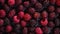 Fresh Organic Loganberry Berry Horizontal Background.