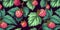 Fresh Organic Loganberry Berry Horizontal Background Illustration.