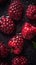 Fresh Organic Loganberry Berry Vertical Background.