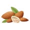 Fresh organic nuts snack, healthy and gourmet