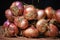 Fresh organic onions from the market