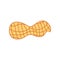 Fresh organic peanut food icon