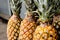 fresh organic pineapples