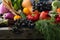 Fresh organic produce in wood crate