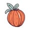 Fresh organic pumpkin ripe icon