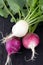 Fresh organic radish crop harvested closeup