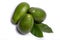 Fresh organic ripe green Fuerte avocado with leaves, copy space