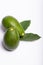 Fresh organic ripe green Fuerte avocado with leaves, copy space