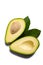 Fresh organic ripe green whole and sliced Fuerte avocado with le